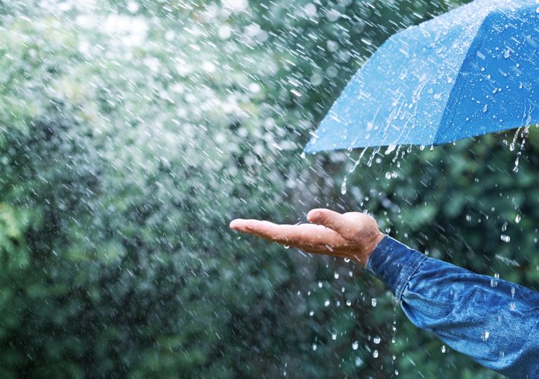 Un domingo con pronósticos de lluvias débiles a moderadas post thumbnail image