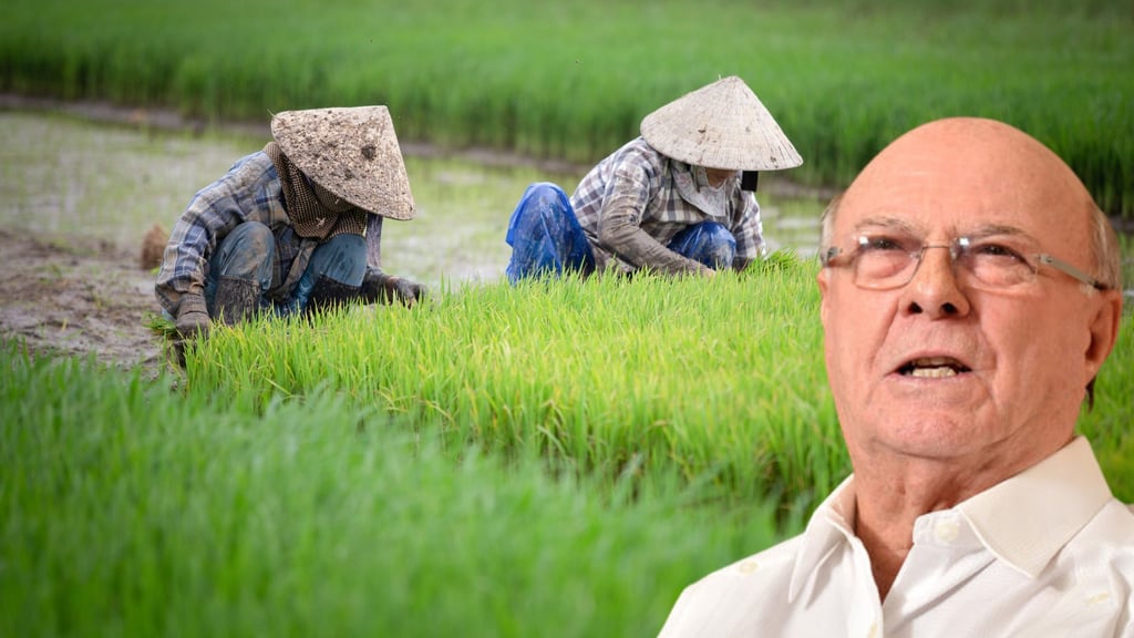 Sector arrocero está blindado con el Decreto 693-24, afirma Hipólito Mejía post thumbnail image