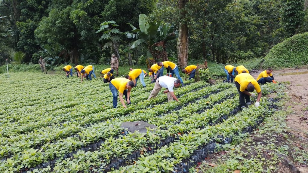 Privados de libertad plantaron más de 3,000 árboles durante 2024 post thumbnail image