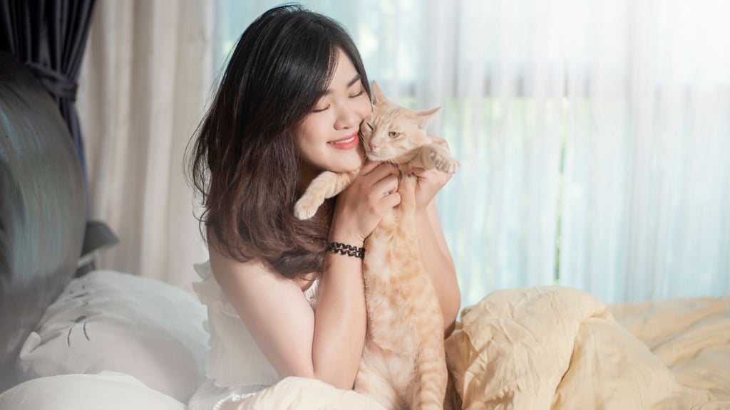 Sin trabajo ni bono anual deja una gata deja a su dueña al enviar sin querer una carta de renuncia post thumbnail image