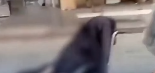 VIDEO: ¡Insólito! Hombre camina con cadáver de su madre en silla de ruedas en Brasil post thumbnail image