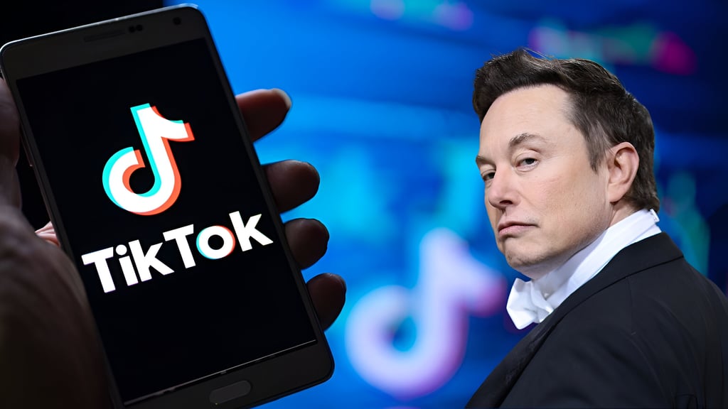 Elon Musk asegura que no está interesado en comprar TikTok post thumbnail image