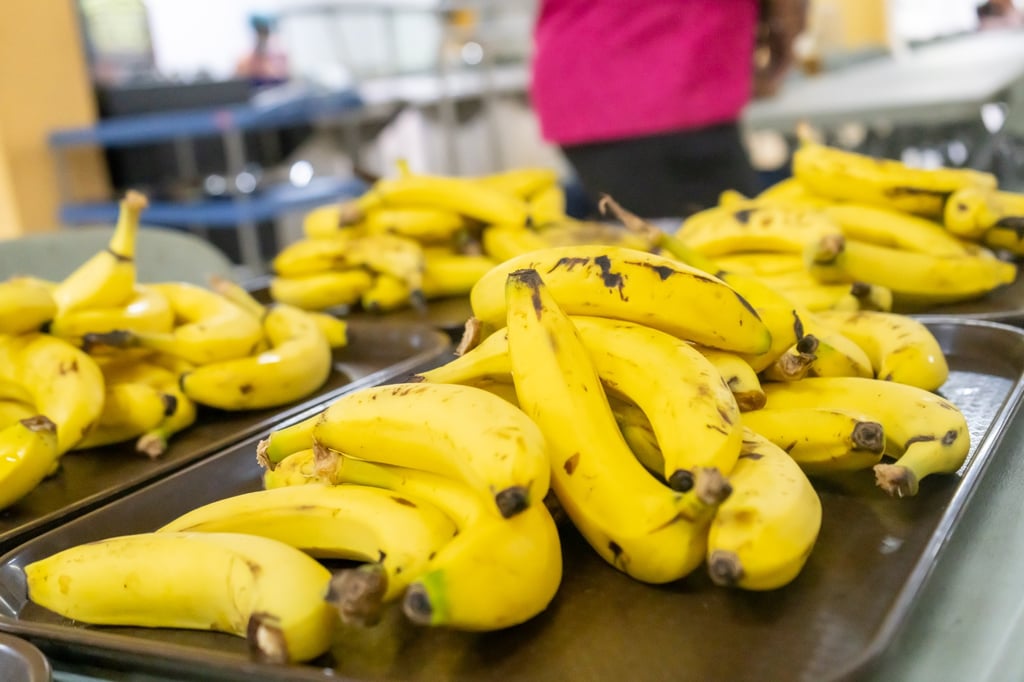 INABIE advierte sanción a suplidores que no cumplan con menú de frutas en escuelas post thumbnail image
