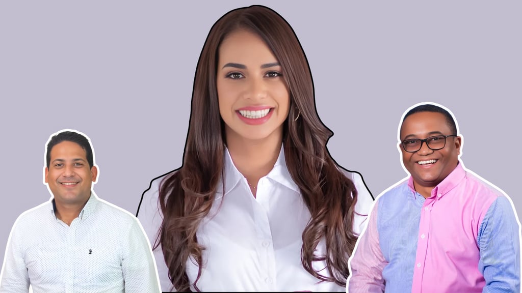Regidores PLD exigen a Betty Gerónimo cuentas claras en alcaldía de SDN post thumbnail image