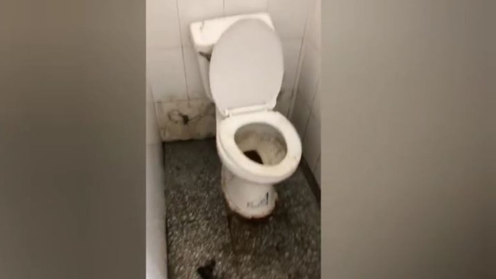 ¡ASCO TOTAL! Baños en escuela colapsados y llenos de heces: padres claman por ayuda post thumbnail image