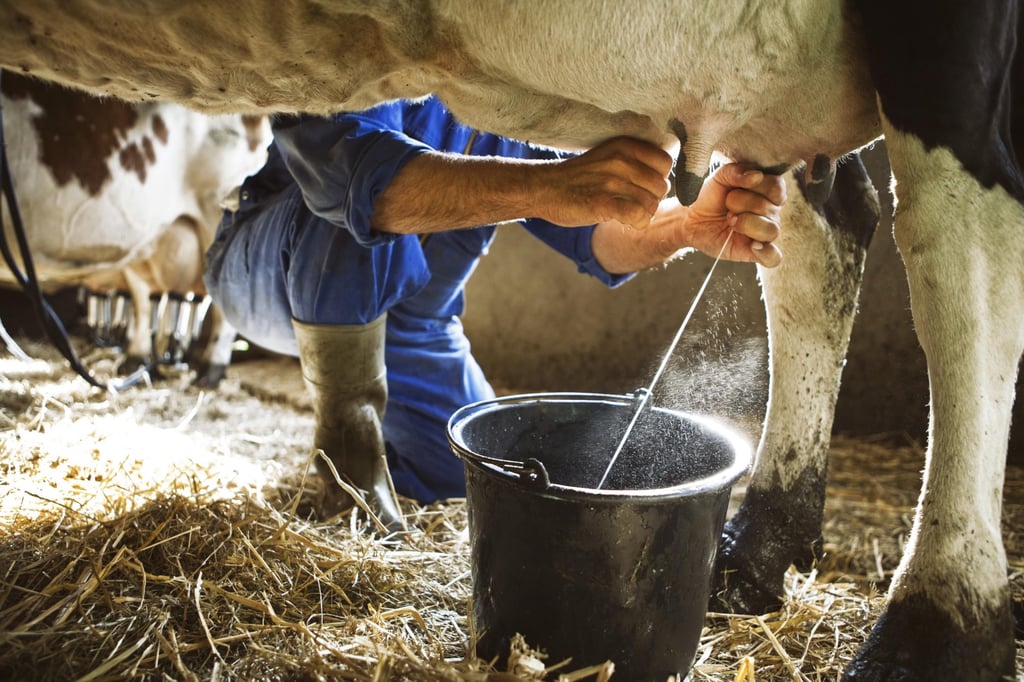 1 de junio, Día Mundial de la Leche post thumbnail image